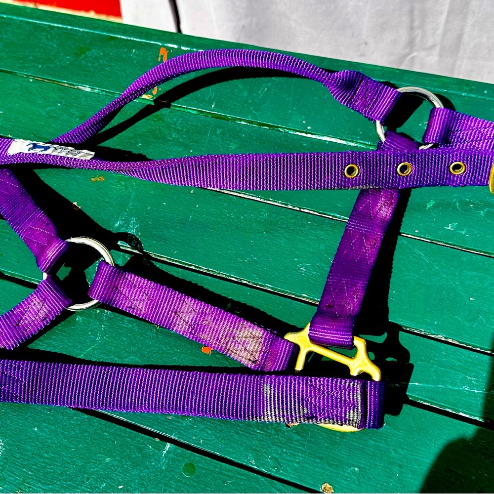 Nylon horse halter